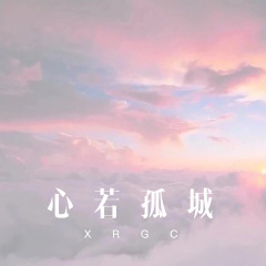 我是个傻子你是个骗子 (Remix)