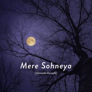 Mere Sohneya (Slowed and Reverb)