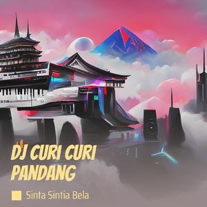 Dj Curi Curi Pandang