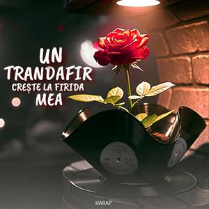 Un trandafir crește la firida mea (feat. Dj Lautar) (CLUB Version)