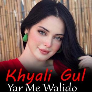 Yar Me Walido