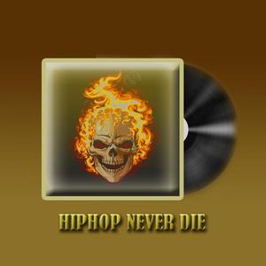 HIPHOP NEVER DIE 伴奏