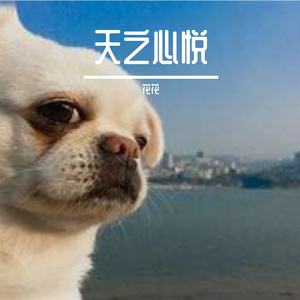 夜色轻轻明月心