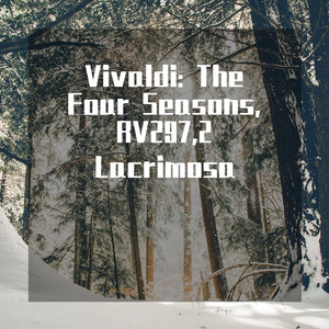 The Four Seasons, RV297: II. Largo(钢琴改编)