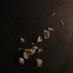 原乡幻觉-DJ弹鼓版