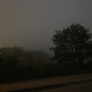 Det bliver en god dag