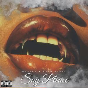 Say Please (feat. Pe$o Jones)