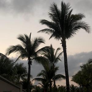 Klaus Schønning-Chinese Twilight（VaSka / 品味 / CaSsie remix）