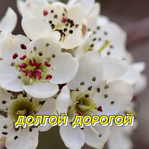 Я СЛУШАЛ ДОЖДЬ