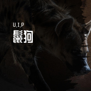 鬣狗 伴奏