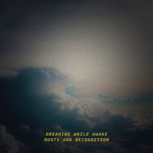 Dreaming While Awake