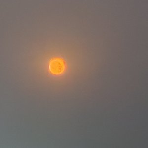 追寻属于自己的光