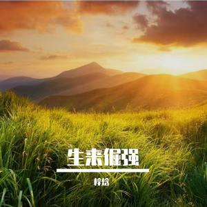 晴舒怀年少