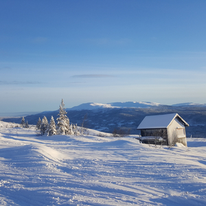 Sweet Alice (feat. Fredrik Tibblin & Jörgen Karlsson)