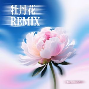 牡丹花 Remix