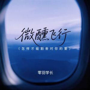 微醺飞行（怎样才能割舍对你的爱）