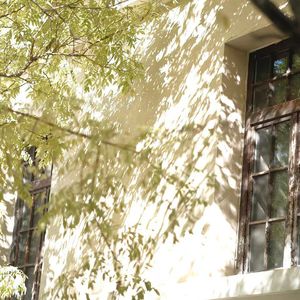 恶作剧(COVER:王蓝茵)