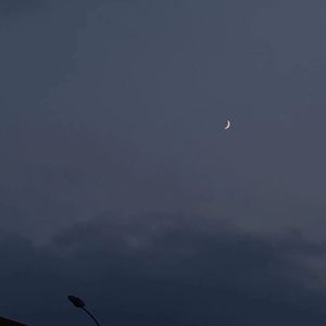 阿拉斯加海湾