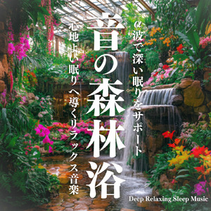 森の風景の調べ