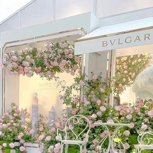 白天永远不懂黑夜ASEE