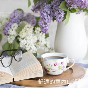 安靜的白噪聲：家居時光 (可循環序列)