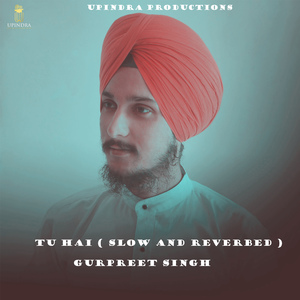 TU HAI ( SLOW AND REVERBED )