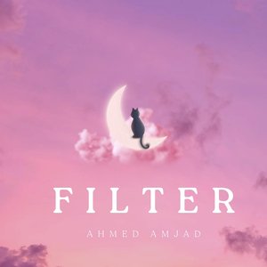 Filter
