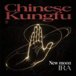 Chinese Kungfu (IRA remix)
