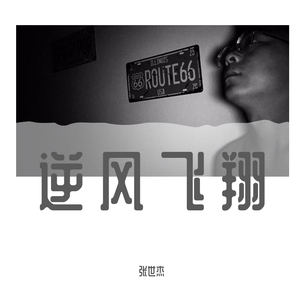 逆风飞翔