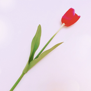 生日快乐 （对唱版）