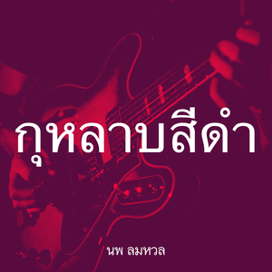 กุหลาบสีดำ