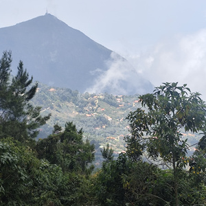 Ciudad Cementerio (Muerte)