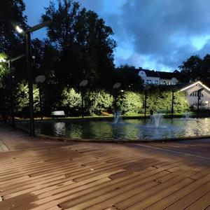 Rapace (Levati di mezzo)