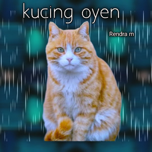 Kucing oyen