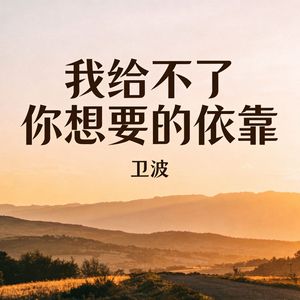 我给不了你想要的依靠