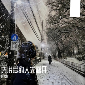 先说爱的人先离开