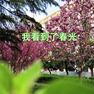 我看到了春光