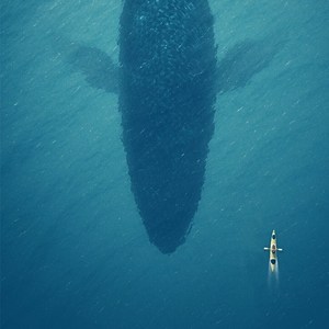 【纯音乐】忽然之间秋天快乐只是你也没来得及对夏天的风说声再见