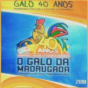 Galo 360 Graus