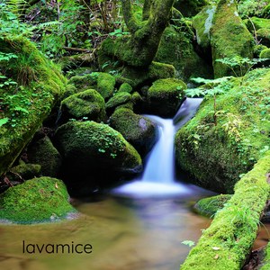 Spring Streamlet