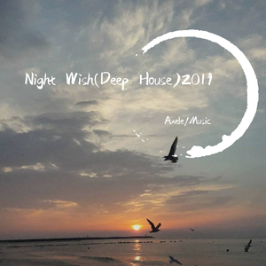 Sercan Saver - Night Wish