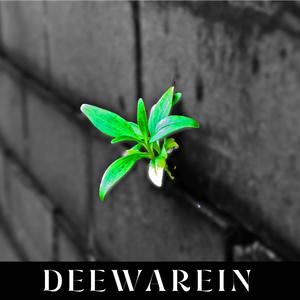Deewarein