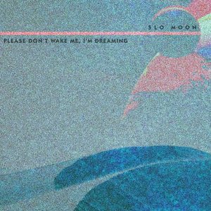 Please Don't Wake Me, I'm Dreaming