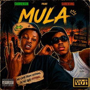 Mula