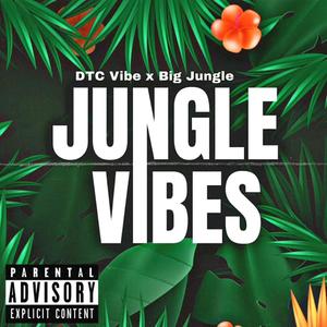 Jungle Vibes (feat. Big Jungle)