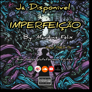 IMPERFEIÇÃO