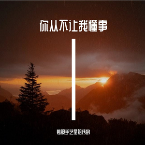 你从不让我懂事