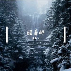 鱼不二的醒着醉