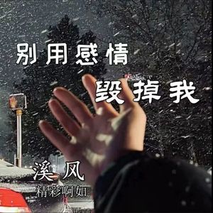 别用感情毁掉我