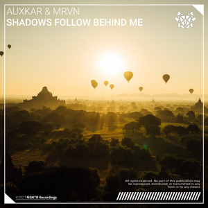 Shadows Follow Behind Me